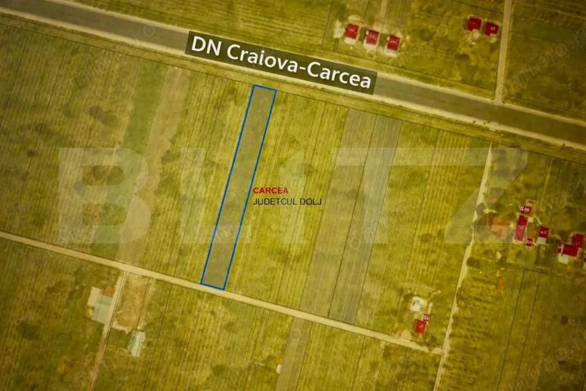 Teren intravilan 2000 mp, front 16,7 ml, vizibilitate la DN, Carcea - 1