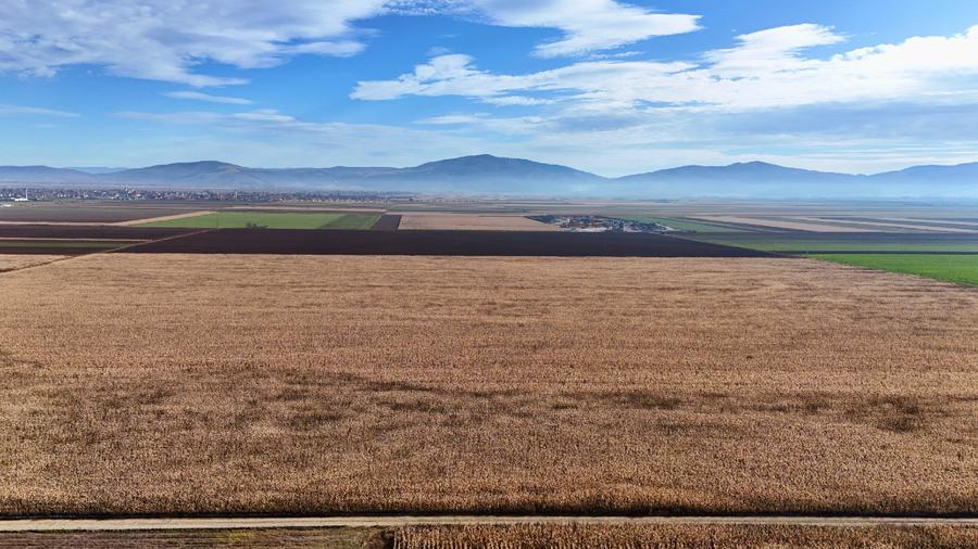 Teren 32,5 Ha compact Prejmer, Brasov. Imagini drona,tur/360 - 8