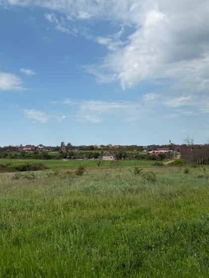 Teren intraan chisirid - 1