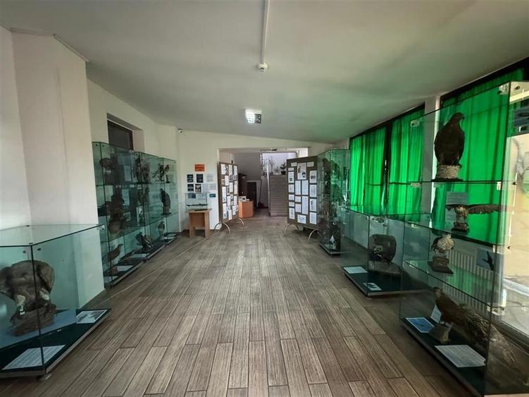 Cladire cu un aspect aparte de inchiriat in Centrul Focsaniului - 18