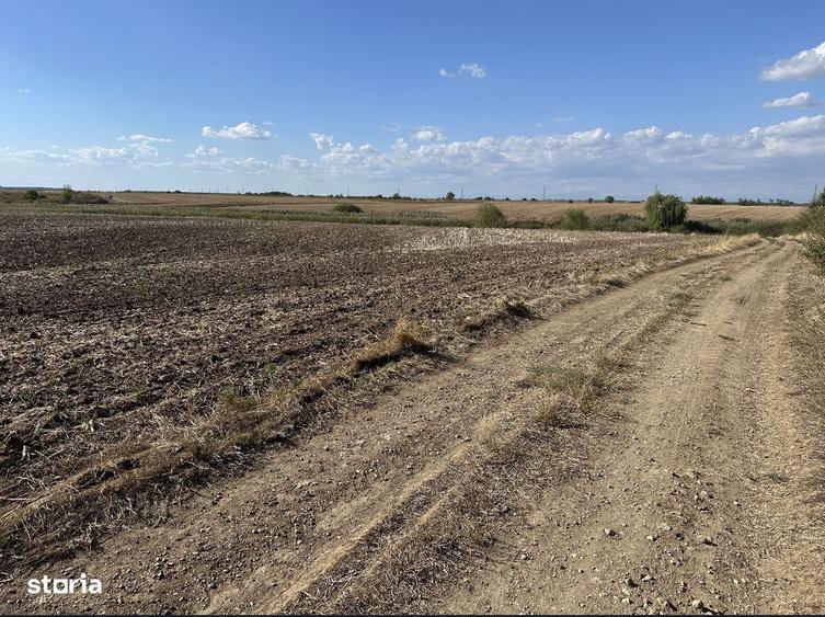 teren Extravilan,Ostratu,SE POATE FACE PUZ - 3