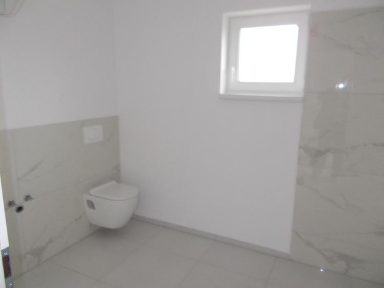 Duplex, intreg sau jumatate, Peciu Nou, parter, 4+4 camere, 674mp - 5