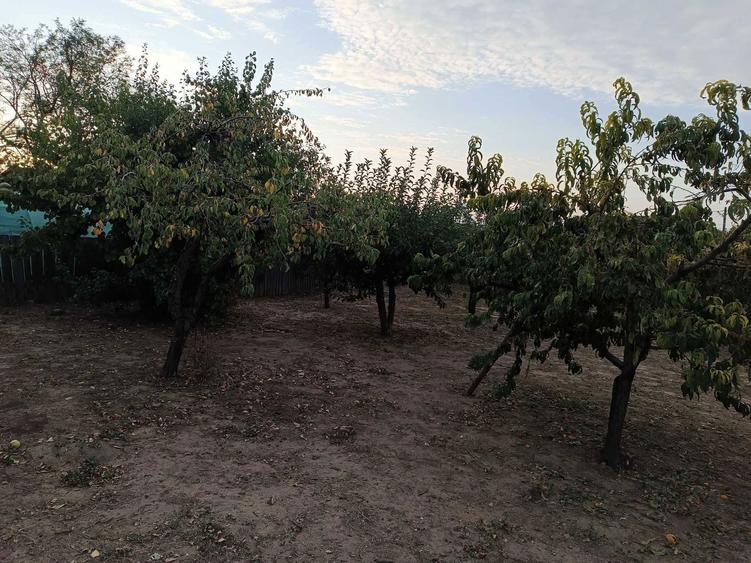 Vand Casa! Segarcea Deal! - 7