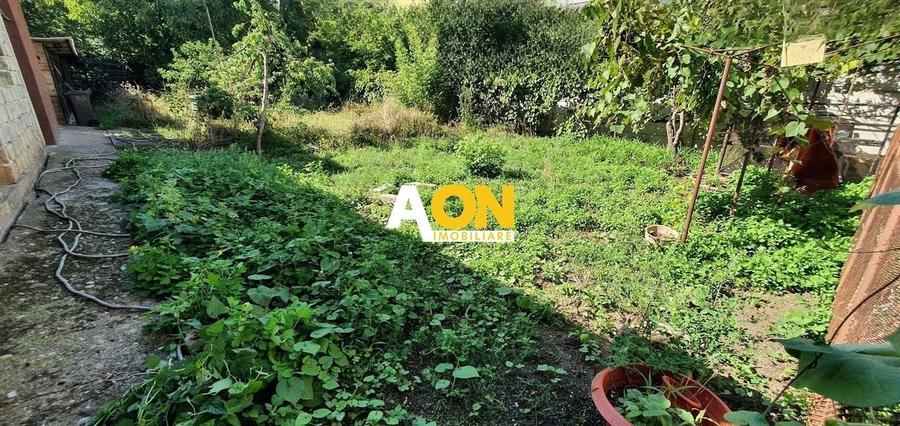 Casa cu 5 camere, 768 mp teren, Cetate - 3