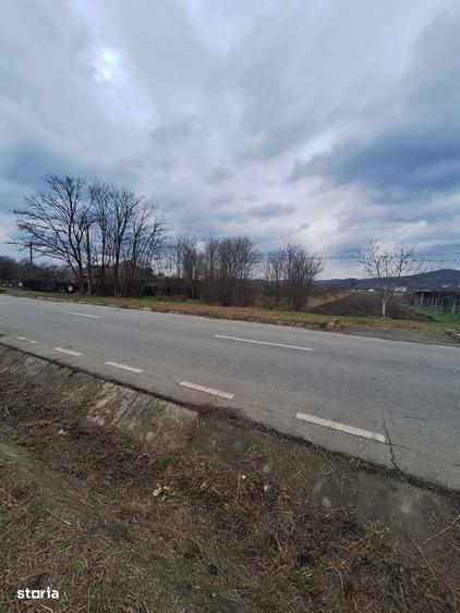 Teren str Balciului la strada ideal pt hale si casa - 4