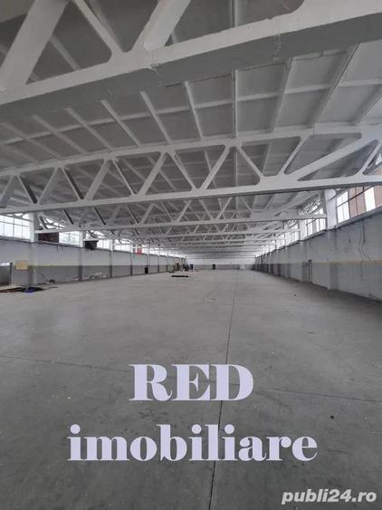 OFERTA - Proprietate industriala de vanzare zona Banovi?a, spate Dedeman, str. Pade? - 3