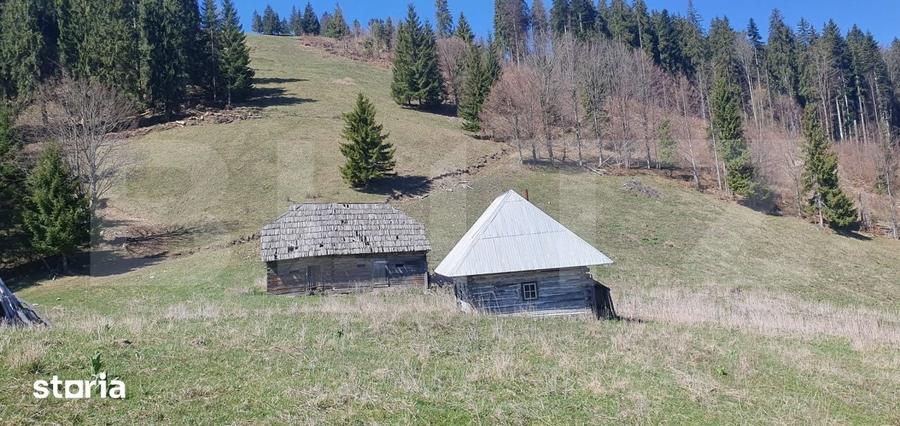 Teren de 206189 mp, în Central