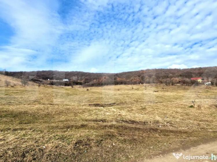 Teren intravilan 4100 mp in Flore?ti | Parcelabil | Zona - 1