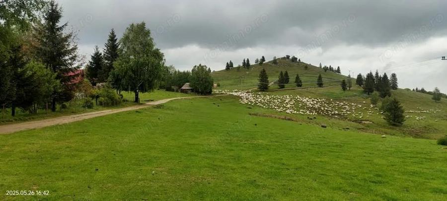 Teren de vanzare PUZ Aprobat in Paltinis - 5