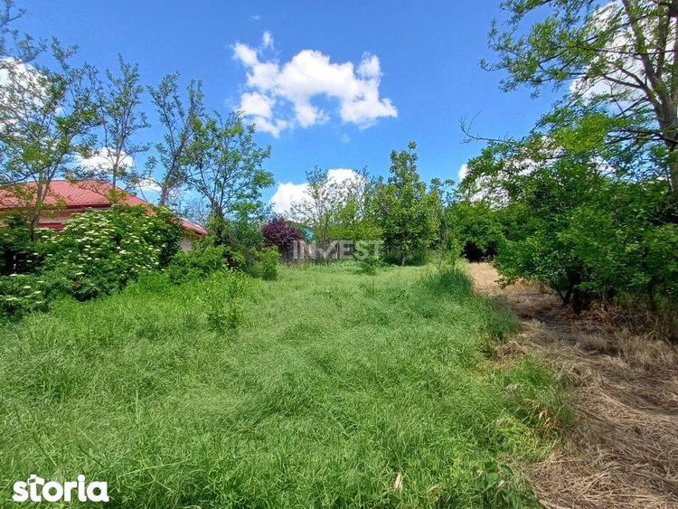 TEREN INTRAVILAN, 602 MP, REDIU - 3