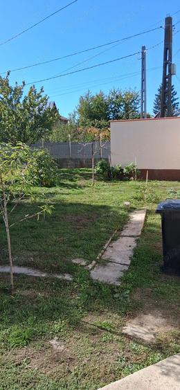 Casa cu teren 3764mp - 1