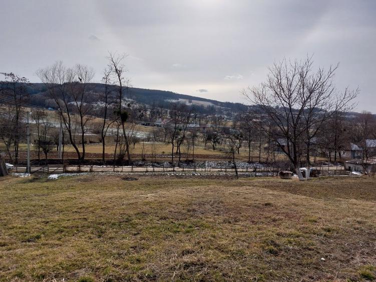 Teren intravilan in Valea Crisului - 5