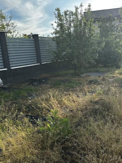 Teren intravilan Albesti - 6
