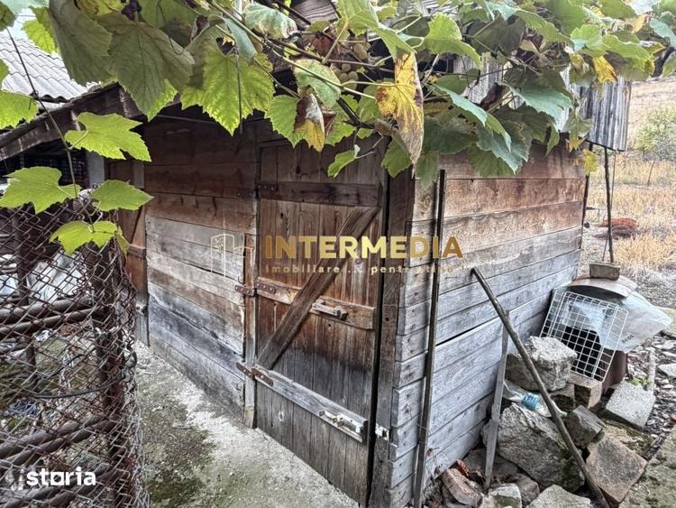 Casă cu 6 camere cu Teren 2709 Mp în Ighiu