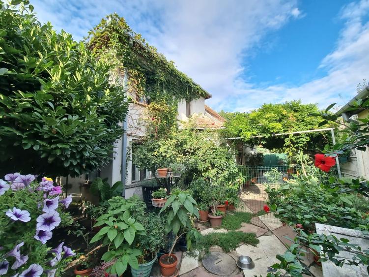 Casa spatioasa in zona excelenta Satu Mare - 8