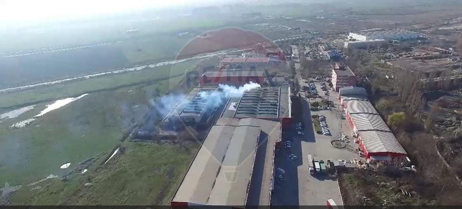 Hala productie & depozitare 9.317 mp | Pallady – Teclu - 4