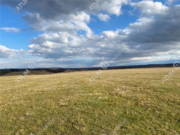 Teren de vanzare 564 mp in Sibiu pretabil investitie - 10