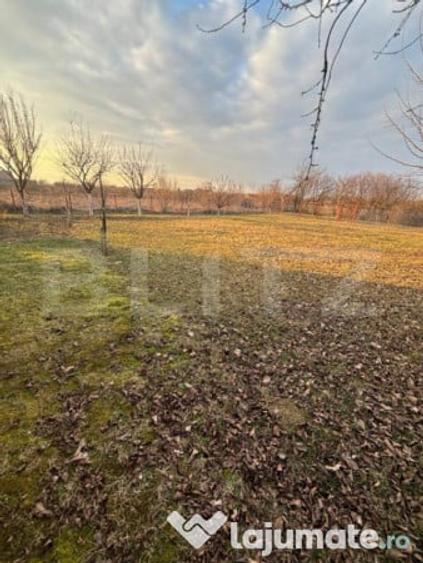 Teren intravilan 6,52 ari cu cabana zona Paule?ti - 2