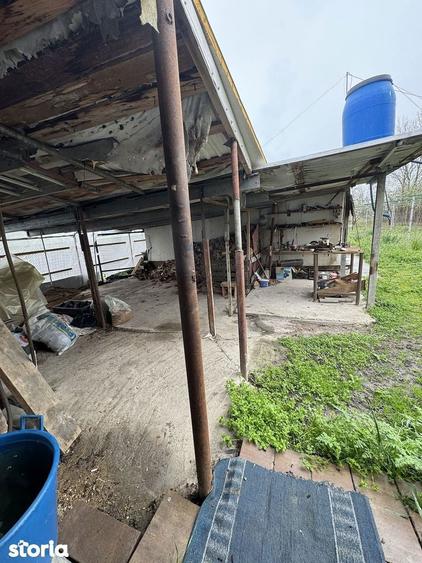 Casa 2 camere | Vucova | 1449 mp teren - 11