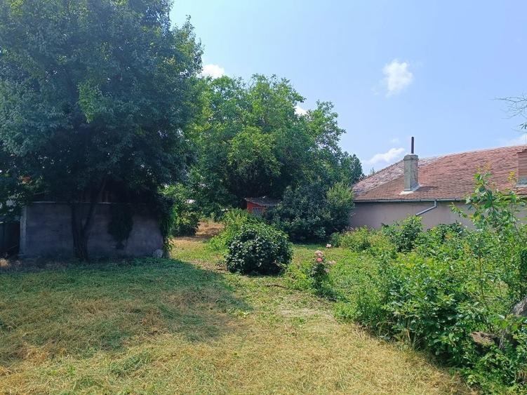 Vand teren in comuna Chiscani sau schimb cu casa in Braila - 4