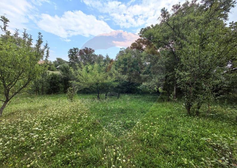 Casa traditionala De Vanzare cu 5 Hectare de teren - 20