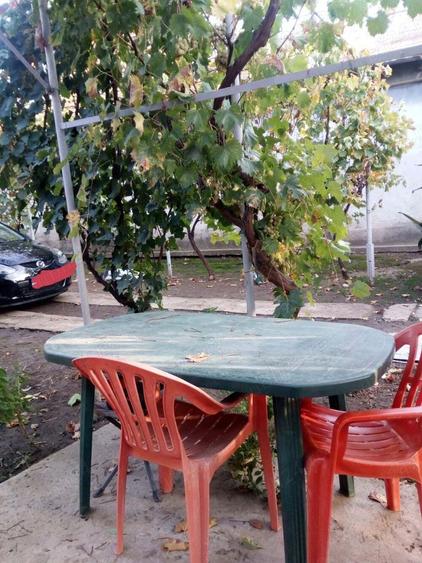 Casa batraneasca de vanzare - 2