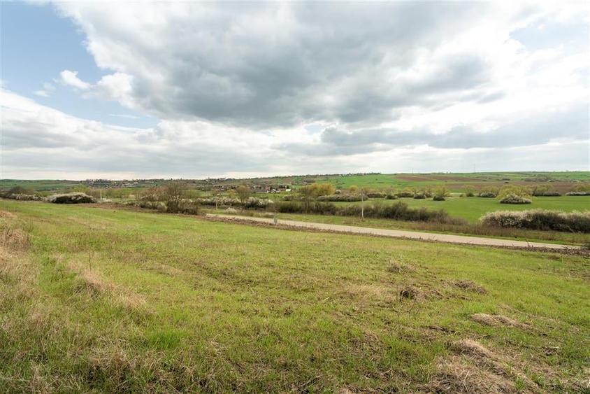 Teren intravilan Cetariu - 9