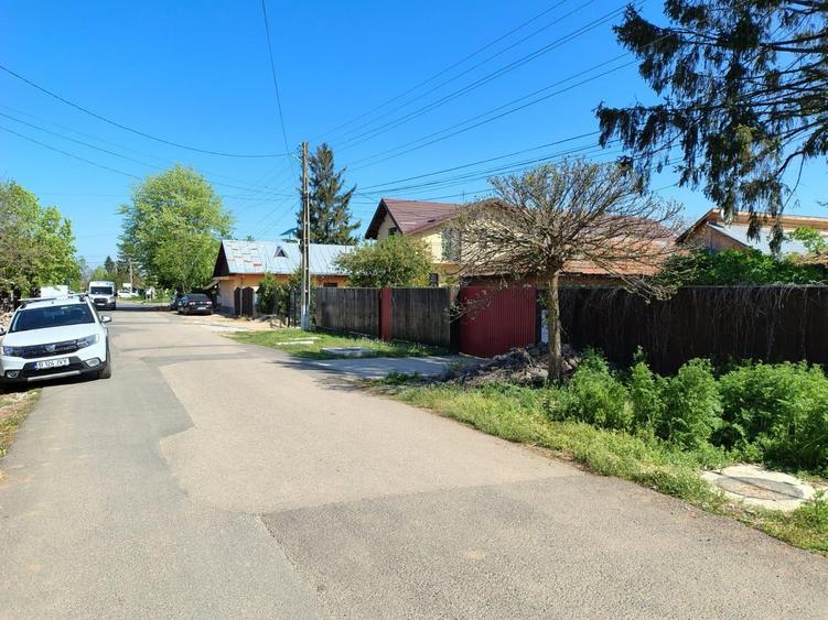 Moara Vlasiei, 320 MP, asfalt+utilitati, urbanism+avize - 35.000 EUR - 5