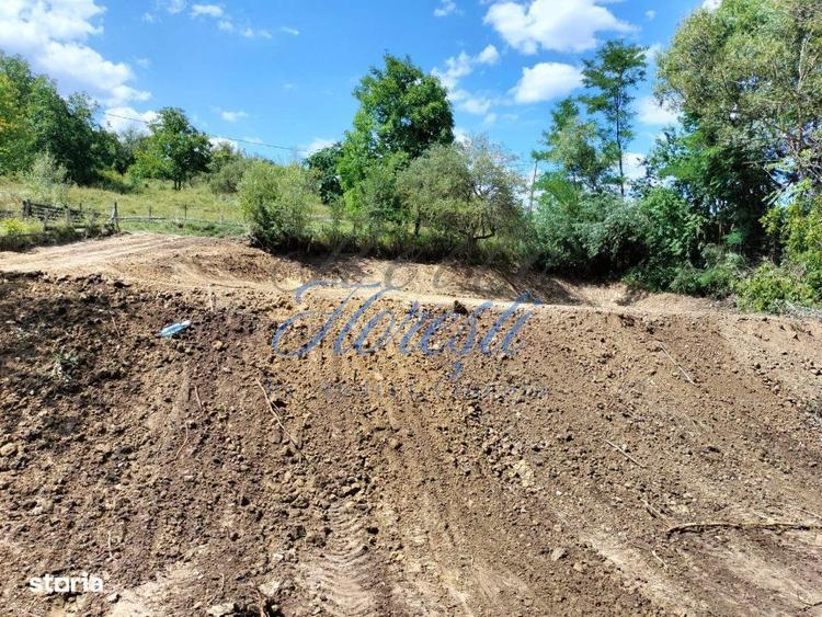 Teren intravilan, 1300 mp, front la strada, utilitati, Iara - 5