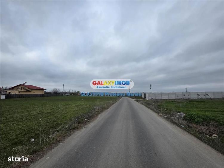 Vanzare lot de teren 1700 mp in apropriere de lac si padurea Cernica - 8