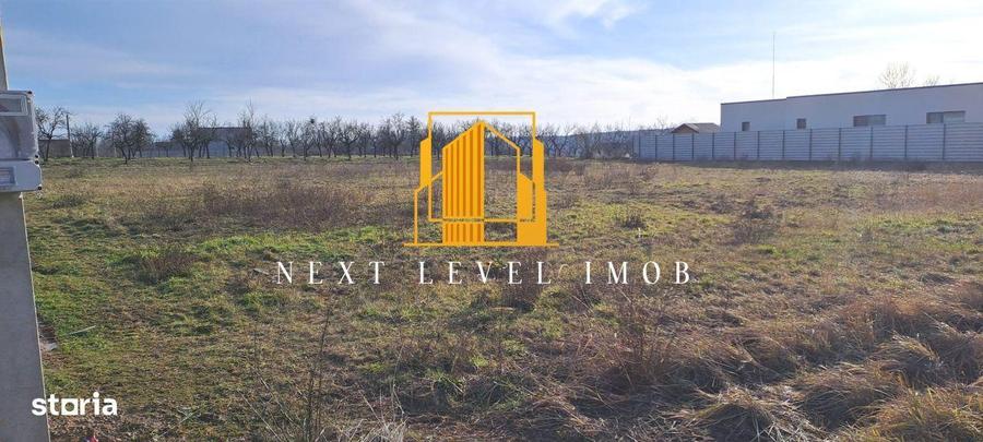 Teren Albota, Morlovani - 2