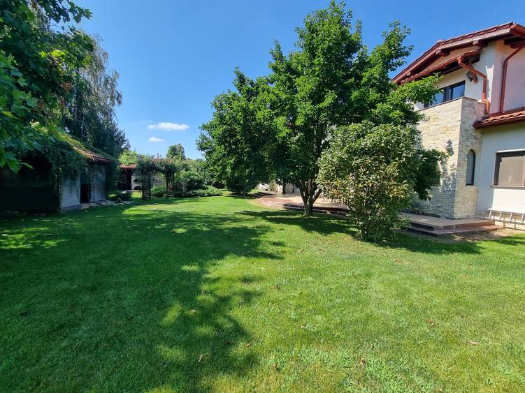 Chitila langa Lacul cu Nuferi si Padure - 20