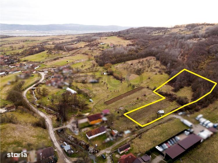 RECO Teren in Zona Pestis, aproape de Alesd - 5