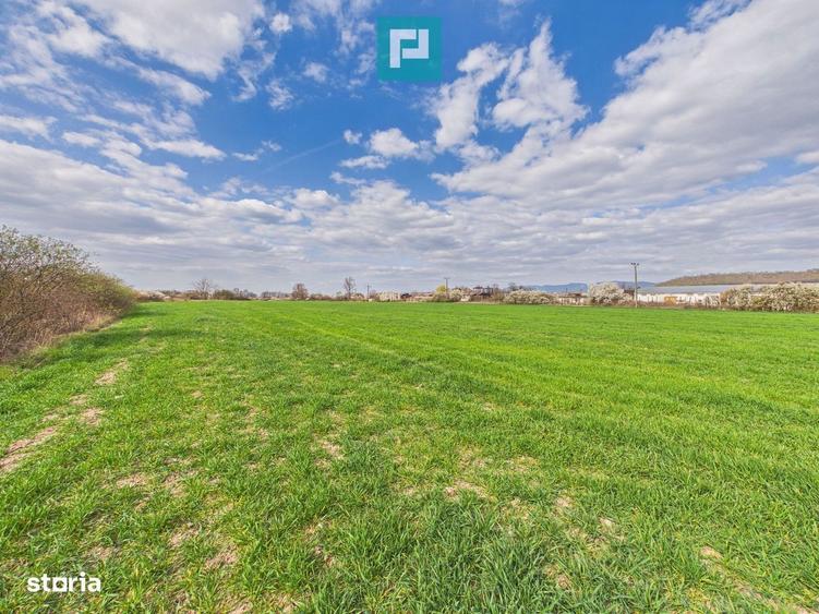 Teren extravilan, 1 ha, in orasul Sebis, Arad - 8