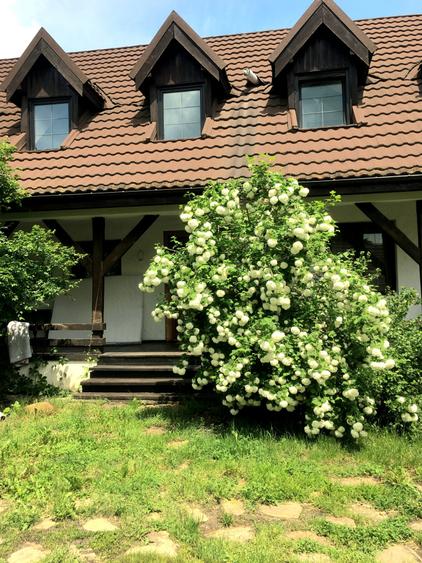 Proprietate autentica cu potential turistic lângă satul Viscri,  judetul Brașov - 32