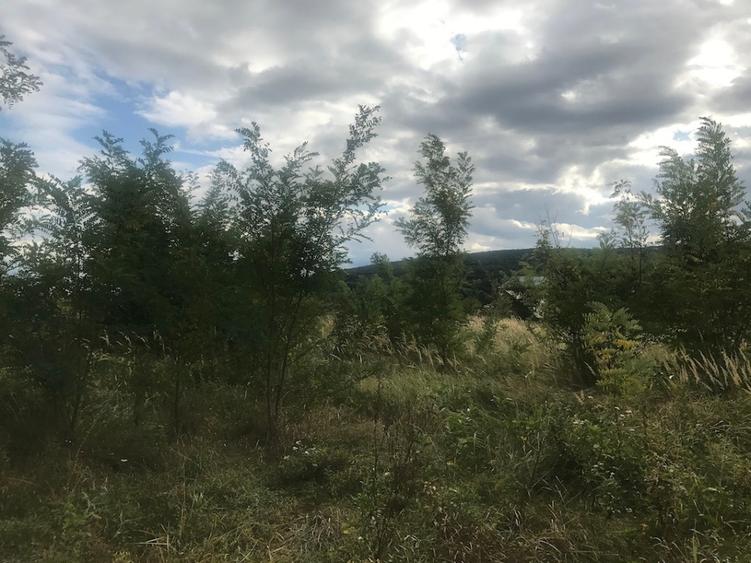 Teren intravilan 2200 mp Hemeius Bacau - 2