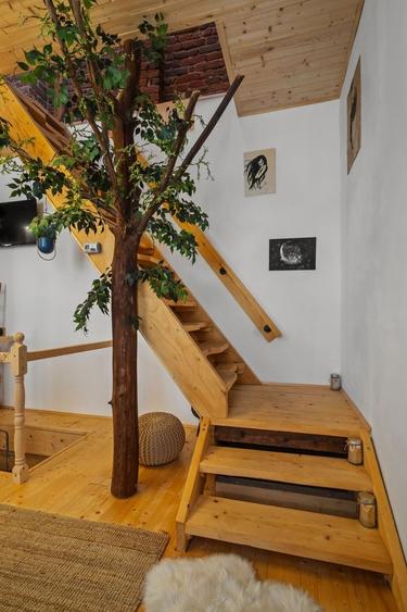 Casă boemă restaurată – ideală pentru locuire sau Airbnb - 6