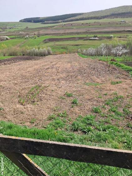 Vand casa la tara - 6