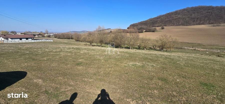 Teren 4 362 Mp Intravilan de Vanzare, Str Caprioarei, Sangeorgiu de Ms - 5