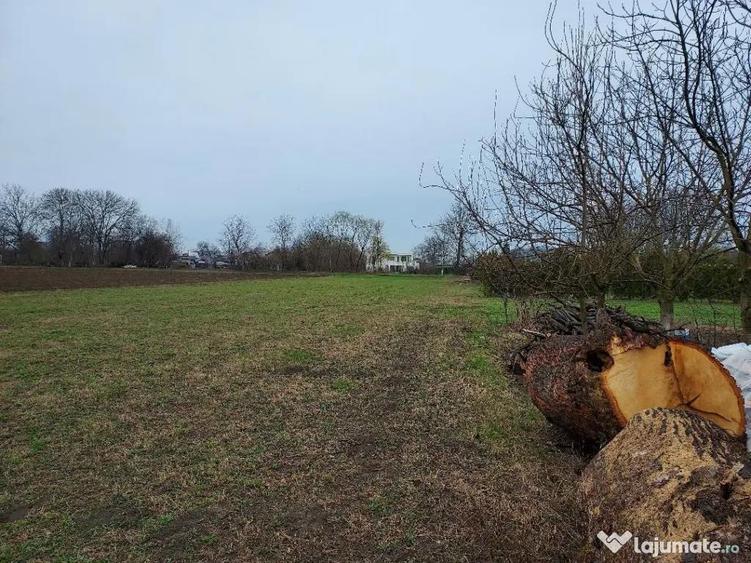 Teren de vanzare Batesti Prahova (langa padure, lac de pescuit) 2793m2 - 2