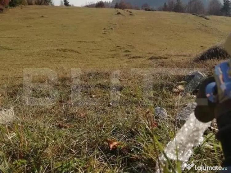 Teren de vanzare, Scarisoara, ideal pentru cabana - 2