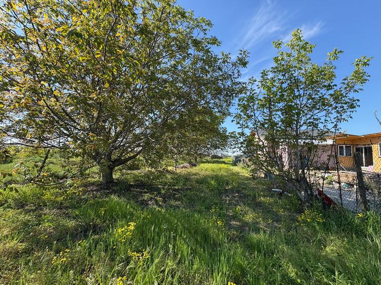 Teren intravilan 1090 mp - Campineanca - 3