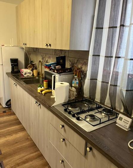 Vand apartment Busteni - 8