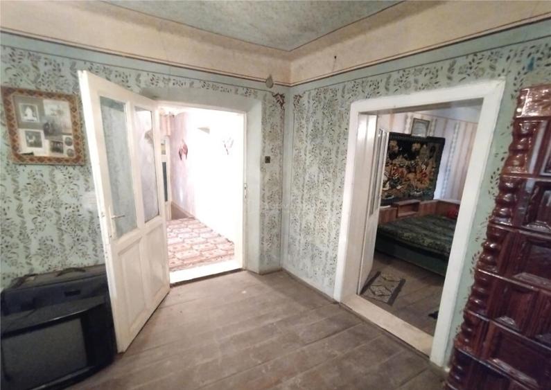 Bogodint, Casa 440mp cu 4 Hectare Teren, Pret Negociabil - 3