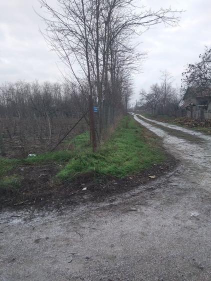 Teren sat Rasa;com Gradistea - 7