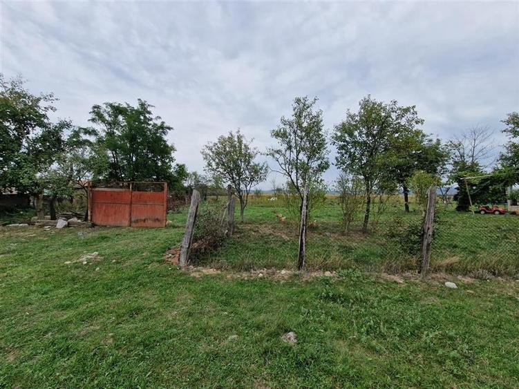 RECO teren  intravilan Tilecus - 2