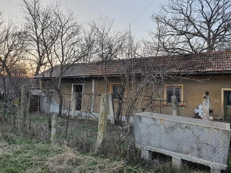 Vand casa si teren 600 mp Com. Scrioastea  langa Rosiori de Vede - 4