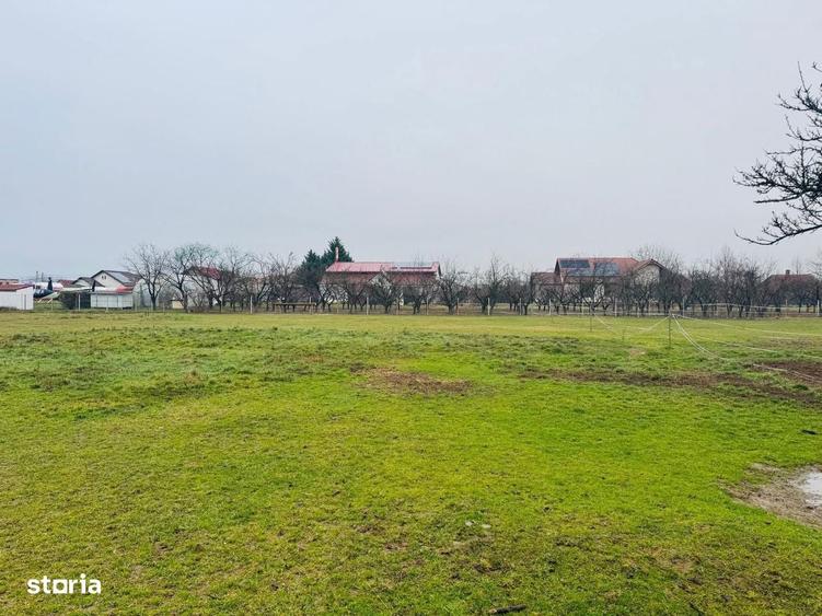 Parcele teren intravilan Fughiu - 1