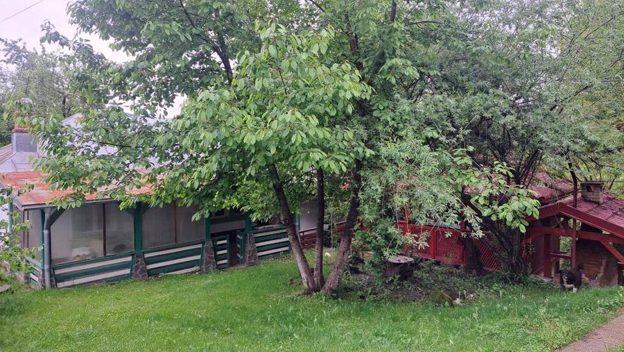Casa P+1, foisor, anexe, gratar, renovata integral, 3000 mp curte livada - 1