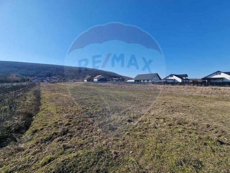 Teren Intravilan de Vânzare în Hemeiuș - 4